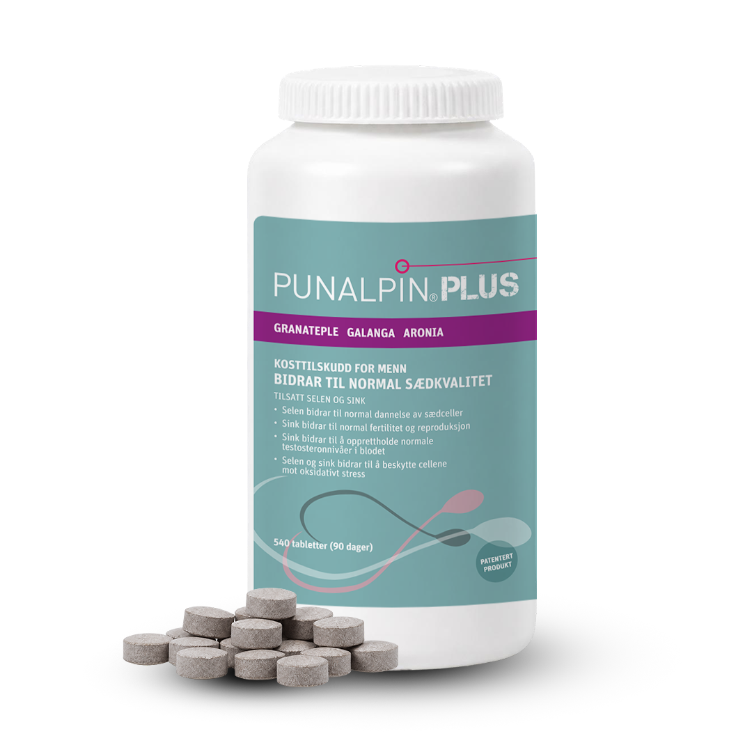 NO_PUNALPIN-PLUS-540-2026.png NO_PUNALPIN-PLUS-540-2026.png