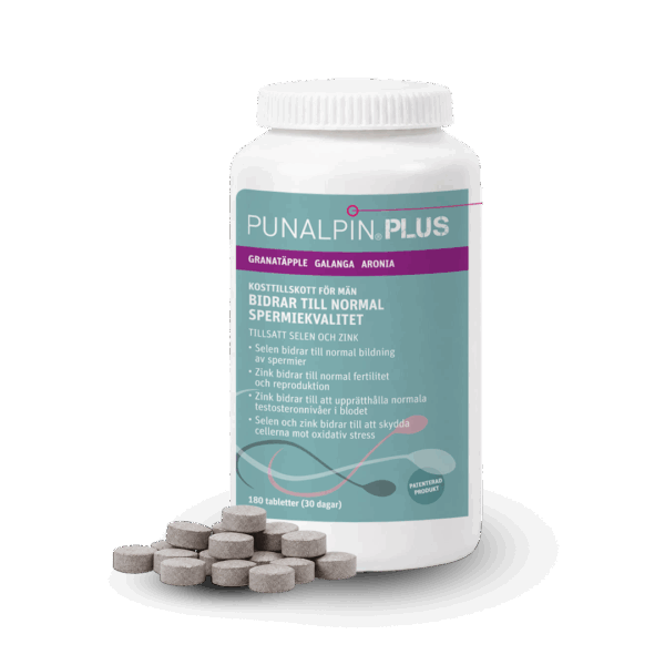 NO_PUNALPIN-PLUS-180-2026.png