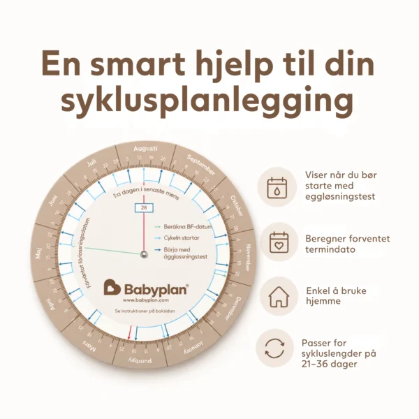 babyplan-wheel-3-NO.webp babyplan-wheel-3-NO.webp