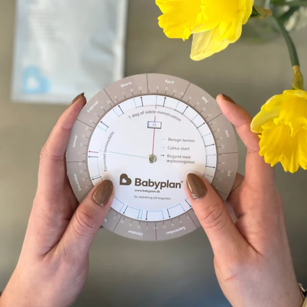 babyplan-wheel-1.webp babyplan-wheel-1.webp